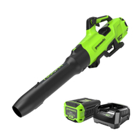 Greenworks Leaf Blower: was $278 now $198 @ Walmart