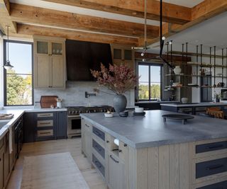 An organic modern kitchen with industrial design elements