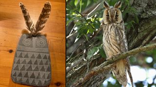 A replica (left) of a carved stone owl with two feathers inserted at the top next to a photo (right) of a long-eared owl (Asio otus).