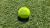 Slazenger The Wimbledon Ball