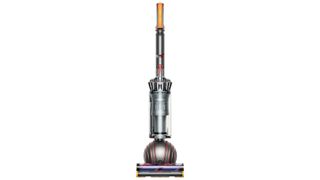 Dyson Ball Animal 2 upright review