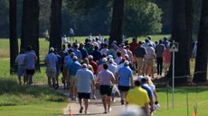 Golf fans walk away from shot at the 2024 Sanderson Farms Championship