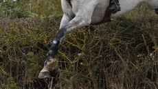 British Eventing: balloting will be part of the entries system for 2023