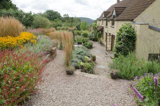 gravel pathways weave their way between the layers of colourful plants in this sloping garden