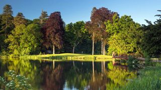 Carton House - O'Meara Course - Hole 16