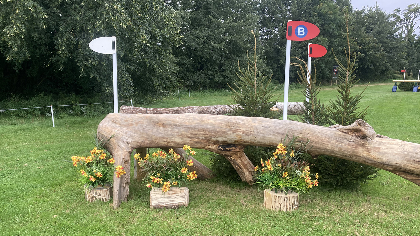 Bicton-logsBalt