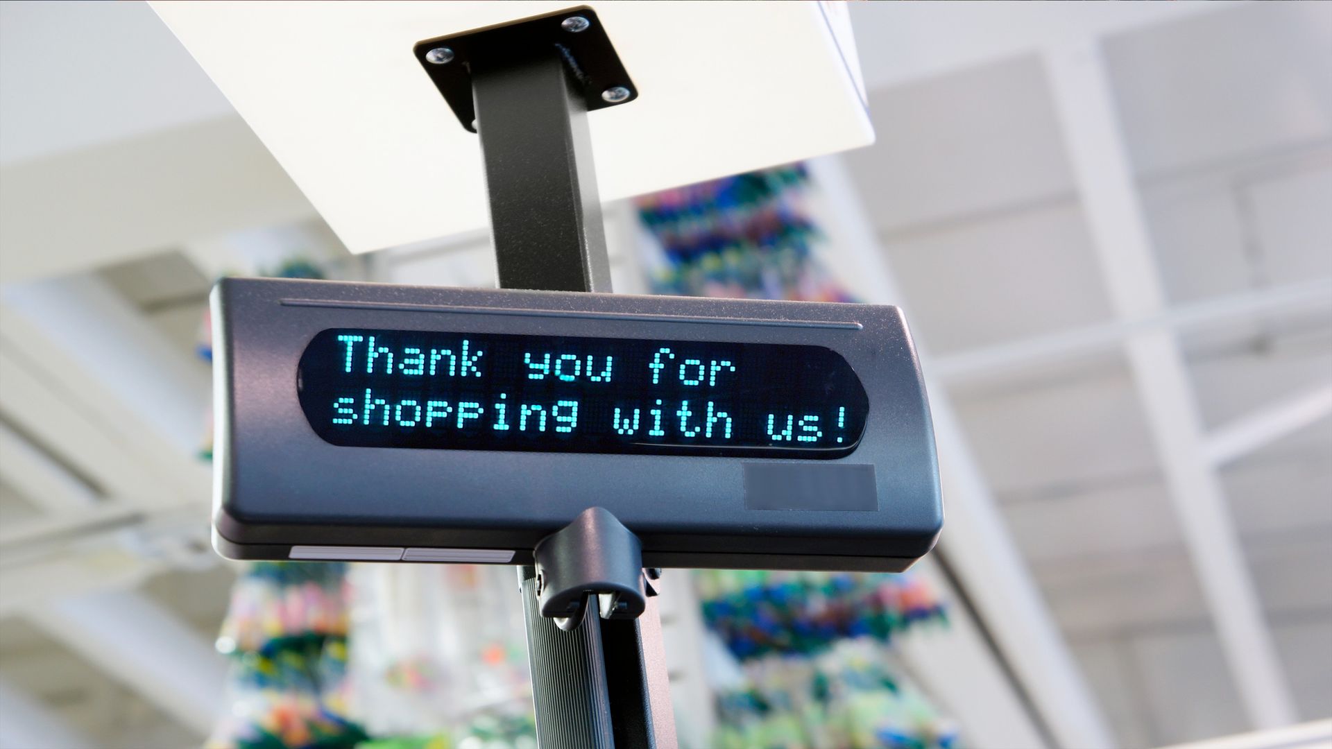 The Best-Performing Sector in the Current Bull Market