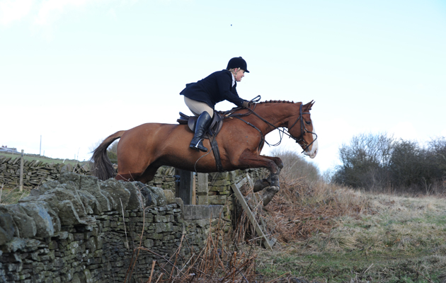 Barlow Hunt on 03 03 2015