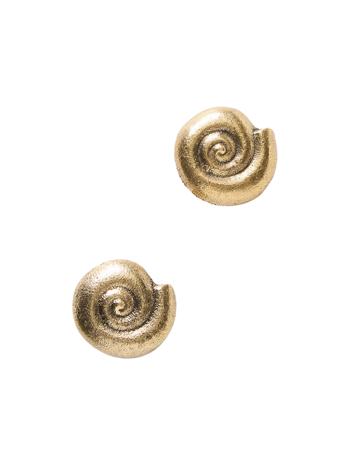 Conchita Seashell Knobs, Set of 2