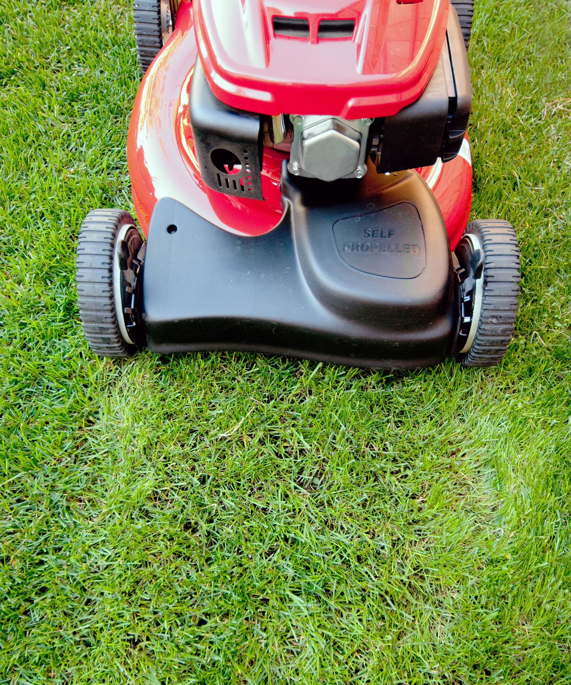 When can you mow the lawn after overseeding? Experts advise Homes & Gardens