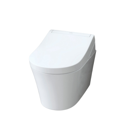 victorianplumbing, Toto Washlet RG 