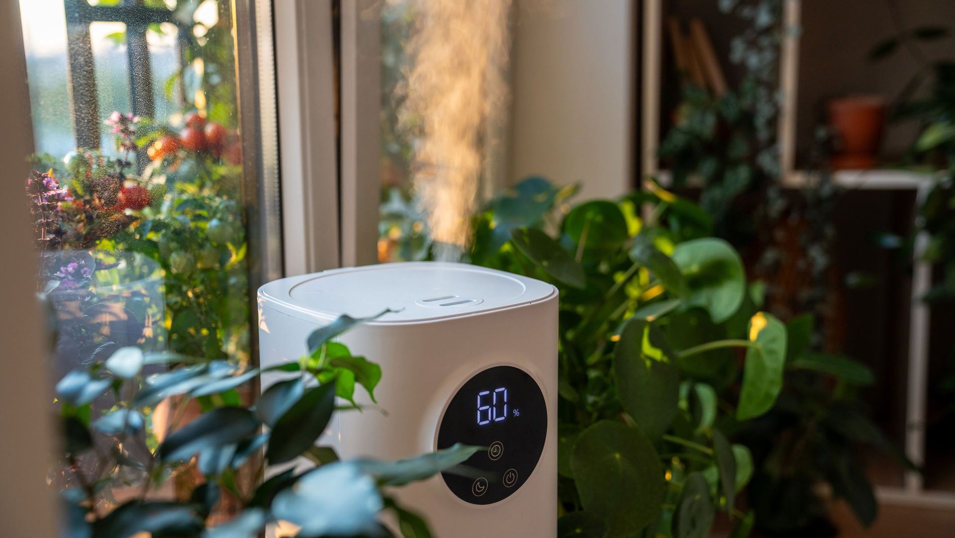 How to choose a humidifier — our knowledge from years of testing | Live ...