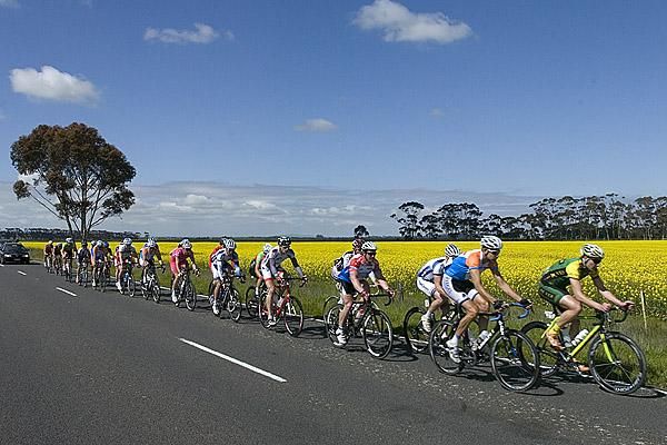 The lead group pass some more canola fields with a 15 minute break on the peloton.