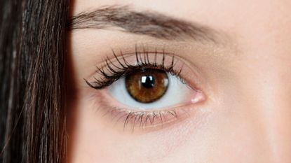 a close up of one hazel eye and eyebrow, with a small section of brunette hair over the face