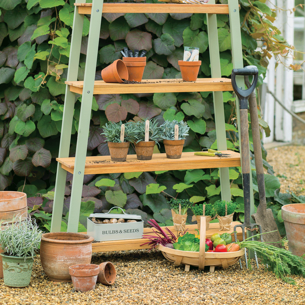 garden area with pots on shelves