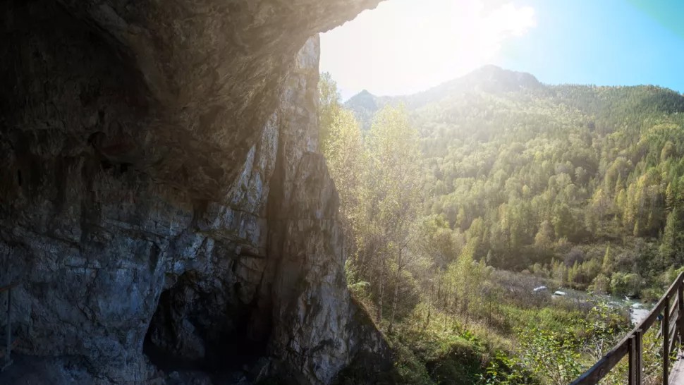 View from the Denisova Cave (shown here) in the Altai Mountains in Siberia. The view consists of a mountain with lots of densely packed trees.