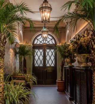 inside view of hallway with potted plants