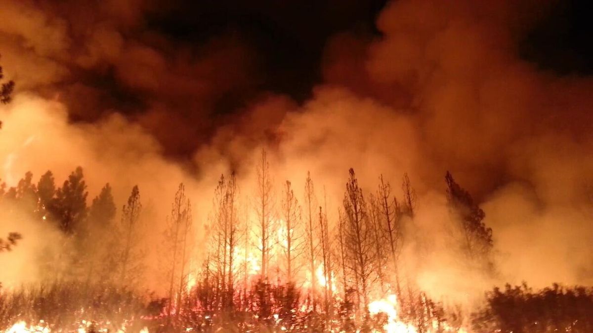 Night View of The Rim Fire