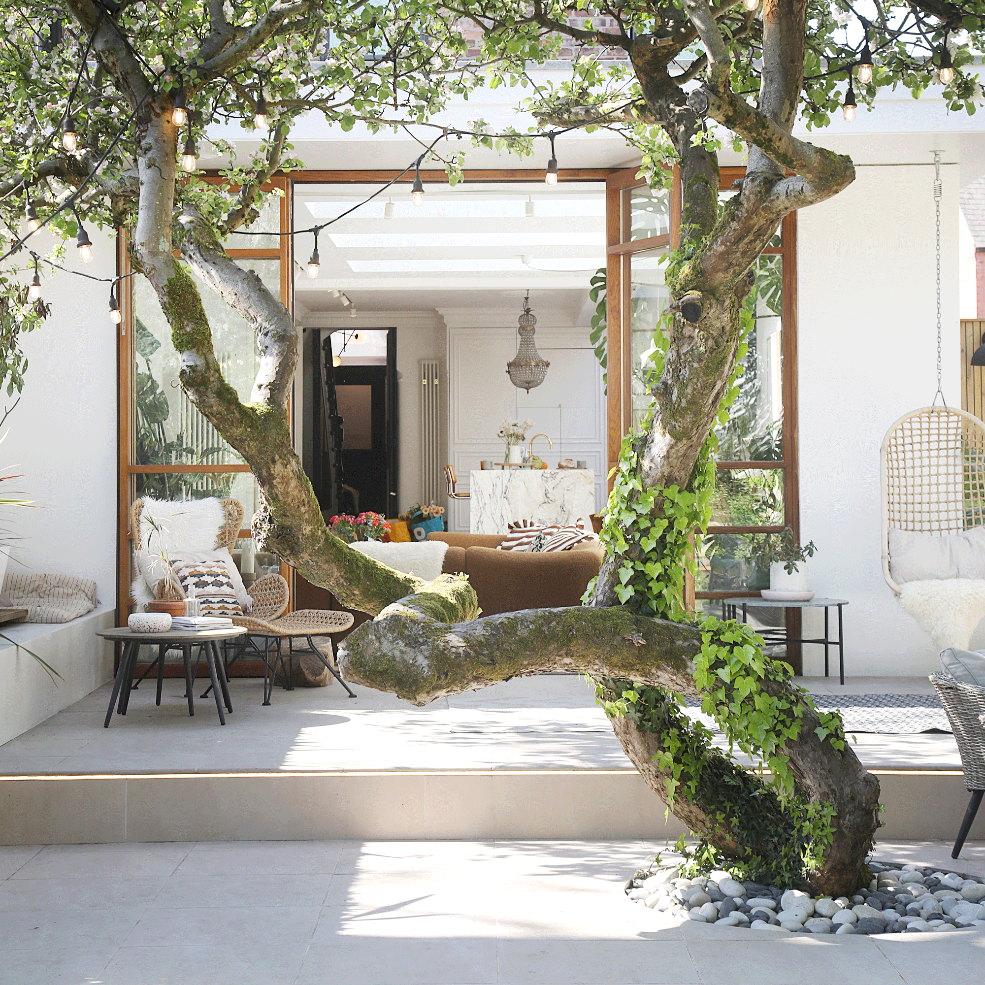 a patio area of a garden with a tree which looks into a the rear of a house with an open plan kitchen living area