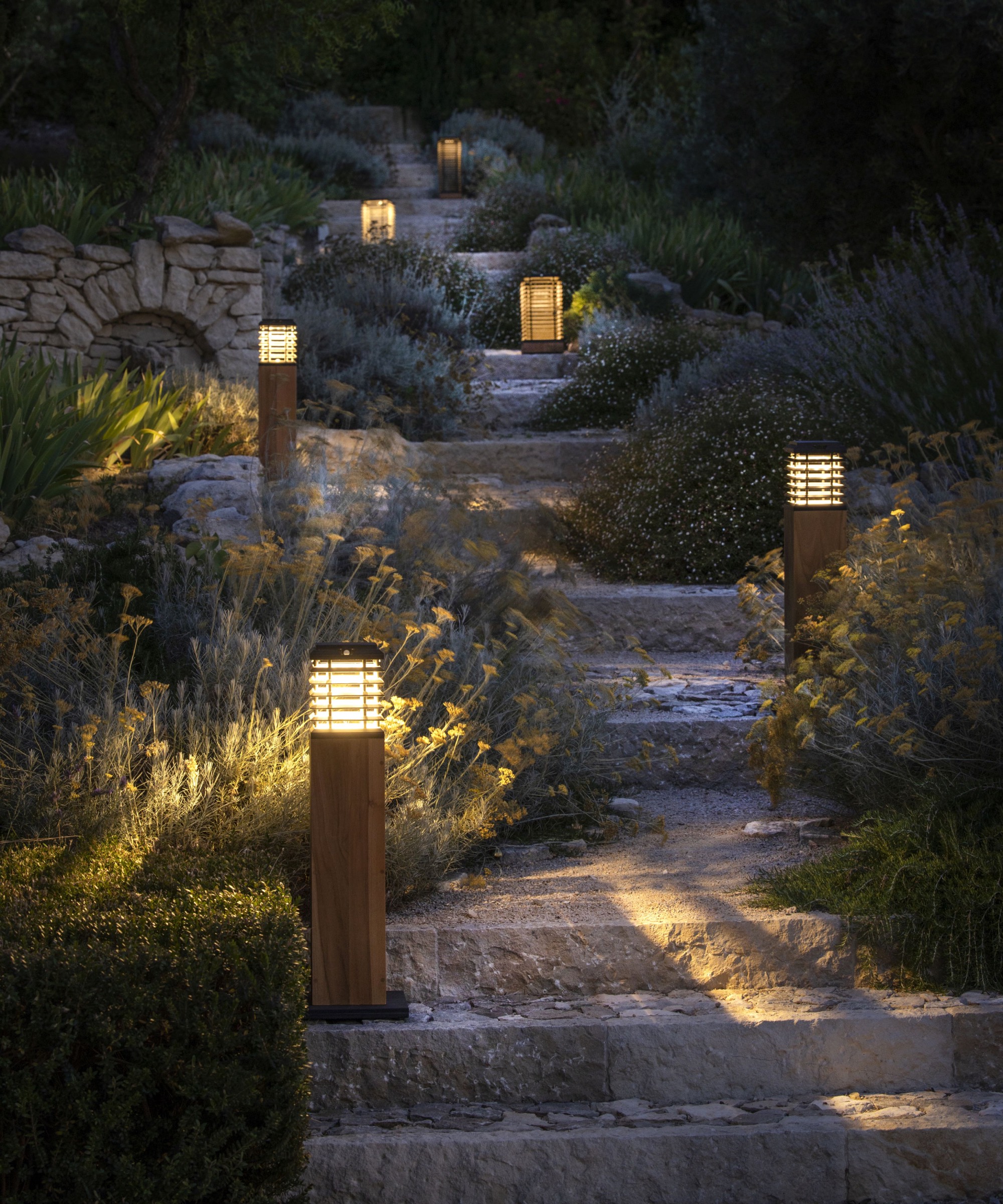 Sakura solar lights illuminating meandering stepped garden path