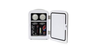 Best mini fridge you can buy: Signature S30007 4 Litre Mini Fridge