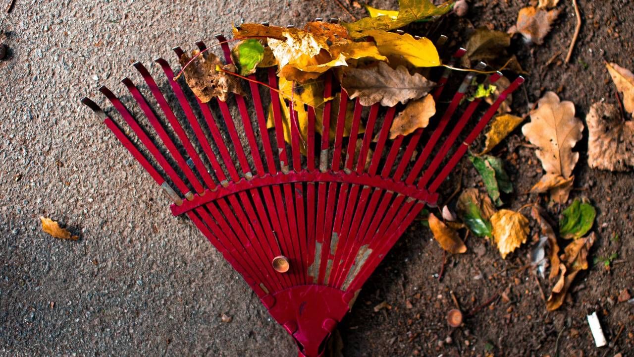 5 garden tools you need to clear up autumn leaves, featuring robot lawn mowers and grass sweepers
