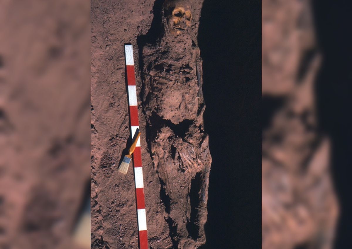 These Skeletons From An Ancient Egypt Cemetery Were Riddled With Cancer Live Science