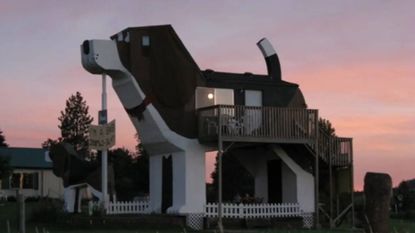 dog shaped airbnb
