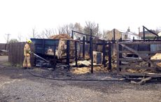 horses killed in livery yard fire