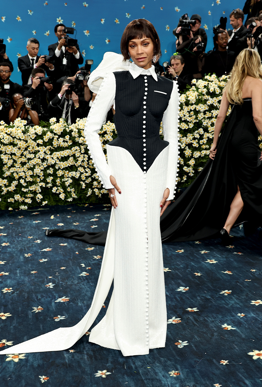 Met Gala 2025 red carpet