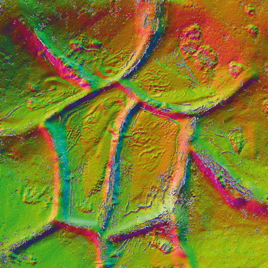 Step down several subdivision levels and create a normal map. Clone it to the texture palette and export it
