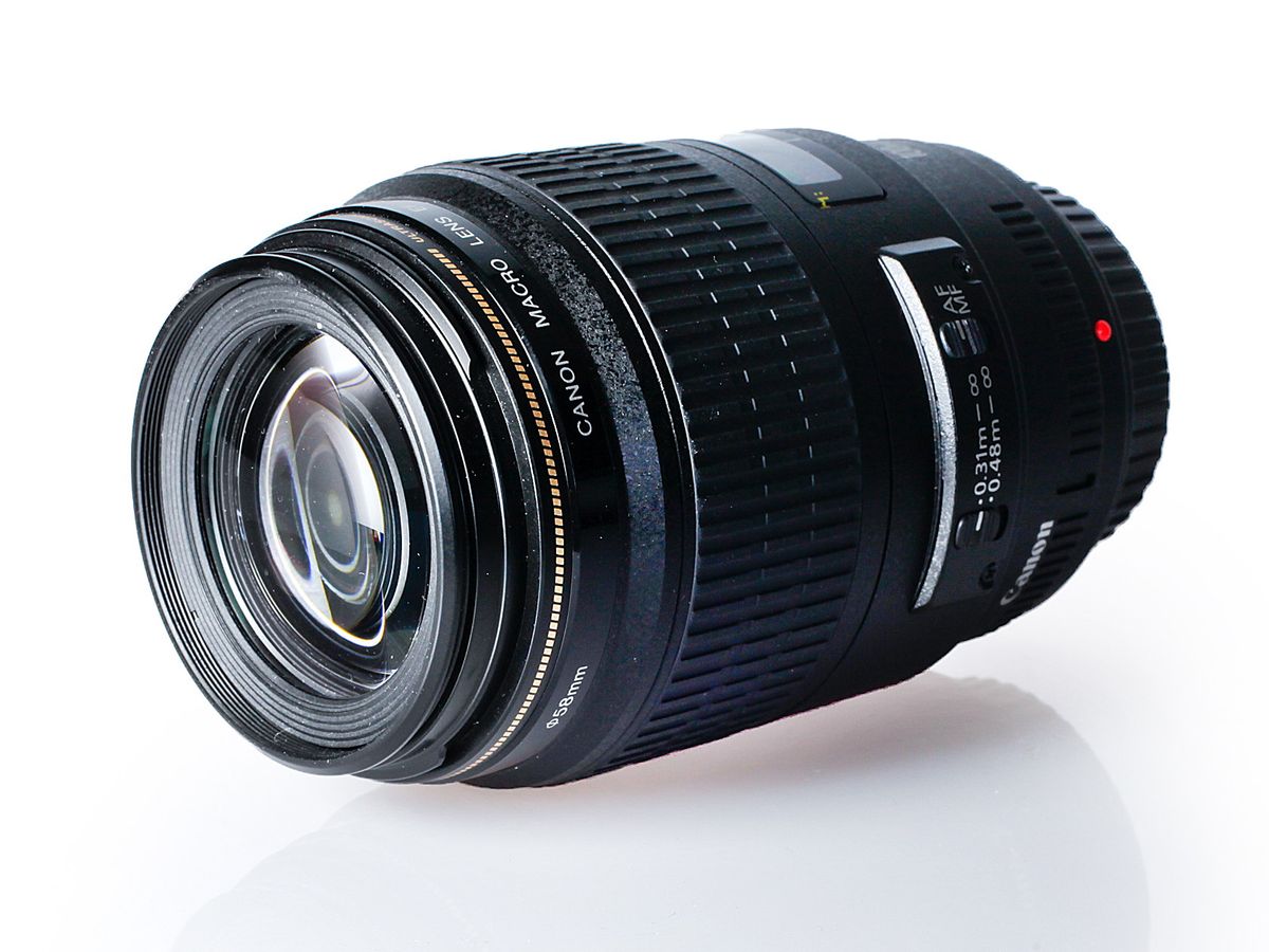 Canon EF 100mm f/2.8 USM Macro review | TechRadar