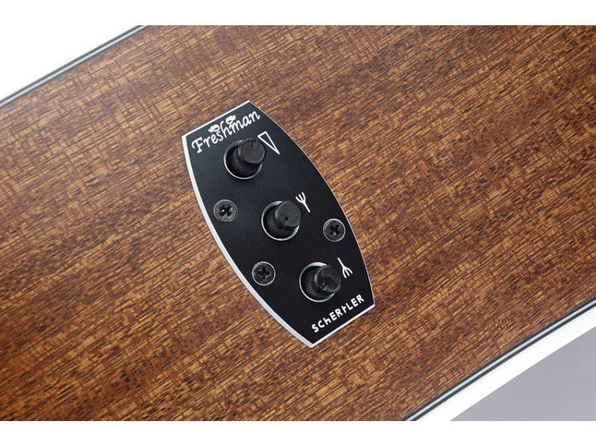 The Schertler preamp is unwieldy at times, but manageable