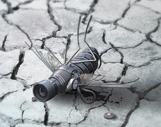 1. Creating a spy fly photo manipulation