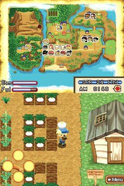 how to check your stats for harvest moon sunshine islands