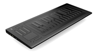 Seaboard RISE 25: was $849.95, now $594.97 | save 30%