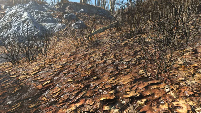 Fallout 4 Mod: Яркие пейзажи