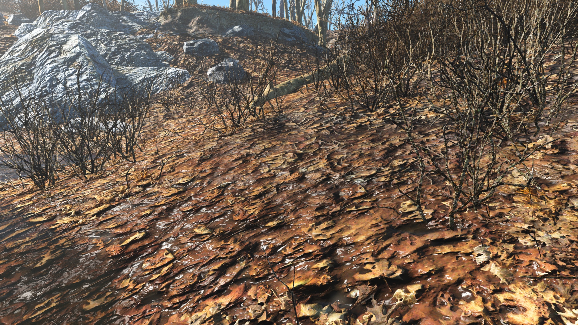 Vivid fallout 4 mods фото 44