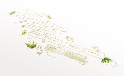 Illustration of Champagne house Perrier-Jouët history tree, names in boxes linked by green and white flowers on a white background