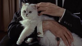 Man With A Cat