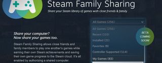 Steam Family Sharing Plan