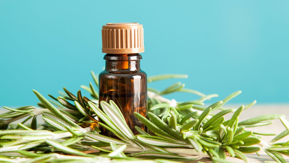 Rosemary tea for hair what to do and how does it work? My Imperfect Life