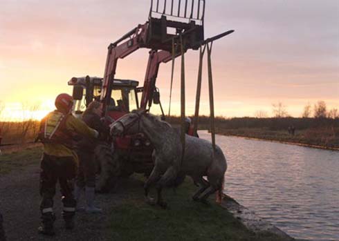 horse-with-tractor_498x355.jpg