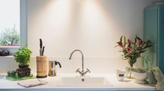 White kitchen counter with chrome faucet and a wooden knife block to the left. There is a basil plant and a vase of dark pink lilies visible against a white wall and bright window