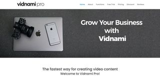 Website screenshot for VidnamiPro