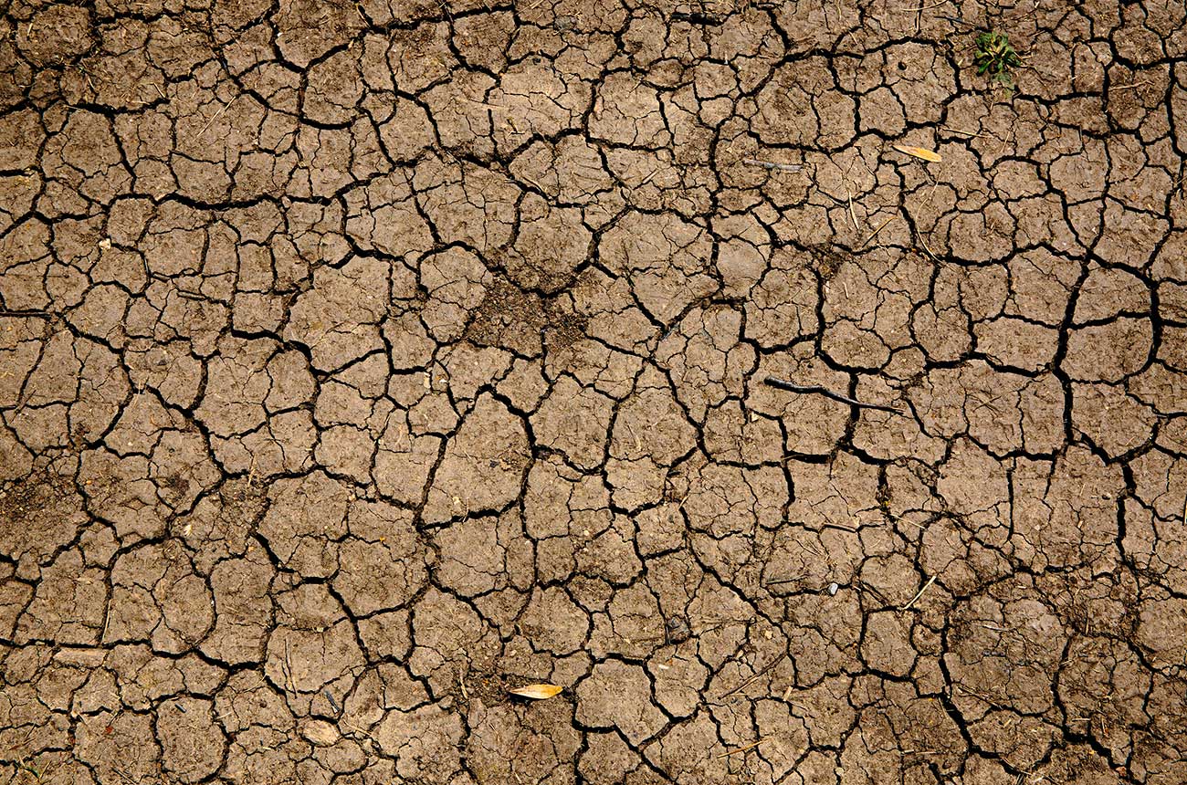 Europe has seen more severe summer droughts, says research