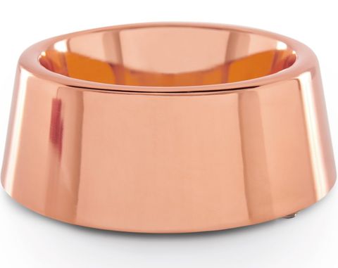 Lap It Up 10 Stylish Pet Bowls Livingetc