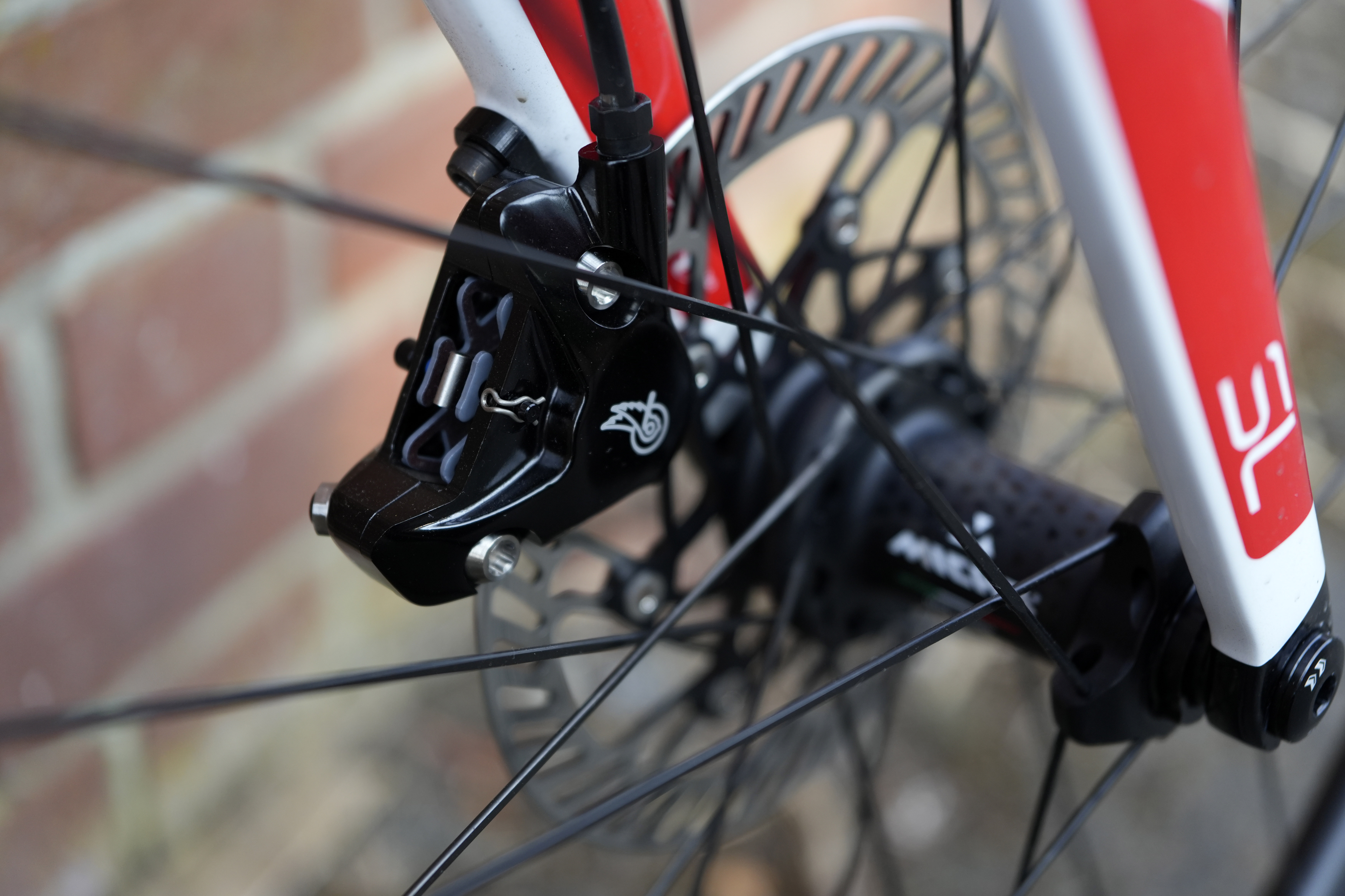 Super Record Caliper and disc in Willier fork