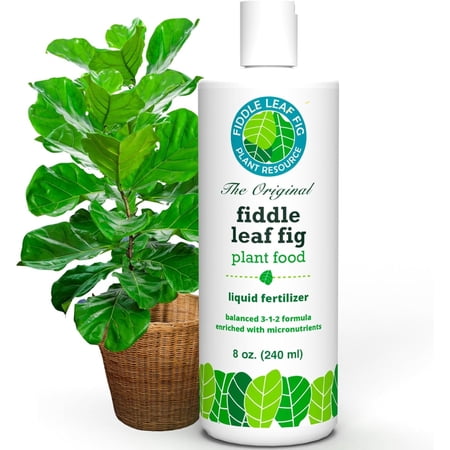 Fiddle Leaf Fig Plant Food 312 Balanced Npk Liquid Fertilizer for Larger Leaves, Stronger Roots &amp;amp; Steady, Vibrant Growth Suitable for All Ficus Including Ficus Lyrata Made in Usa 8 Oz