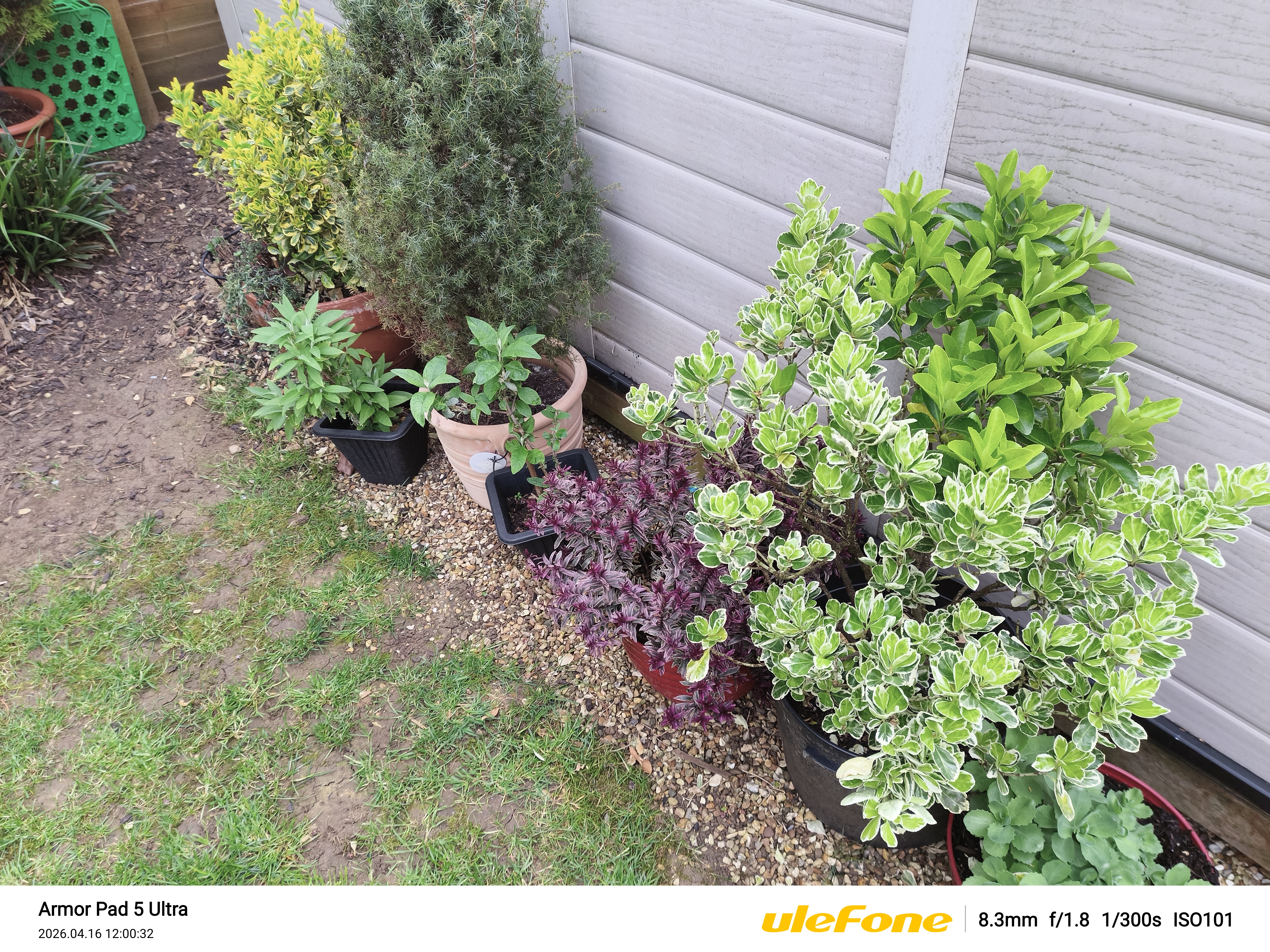 Ulefone Armor Pad 5 Ultra Photo Examples